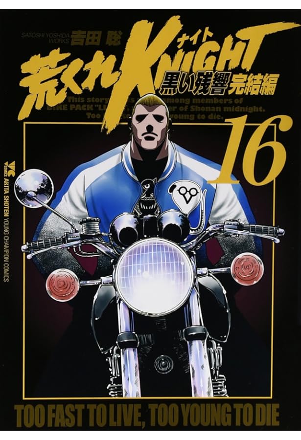 荒くれKNIGHT 黒い残響完結編(20): ヤングチャンピオン・コミックス